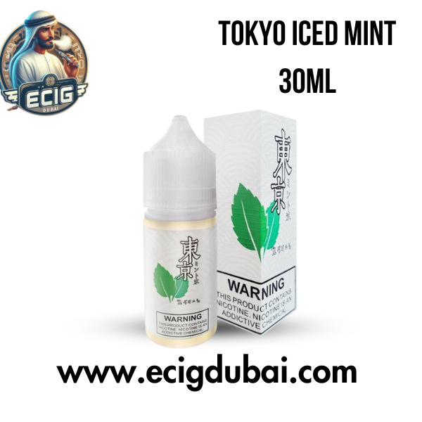 TOKYO SALTNIC ICED MINT 30ML